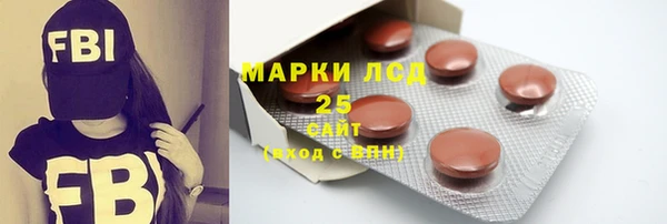 ПСИЛОЦИБИНОВЫЕ ГРИБЫ Сосновка